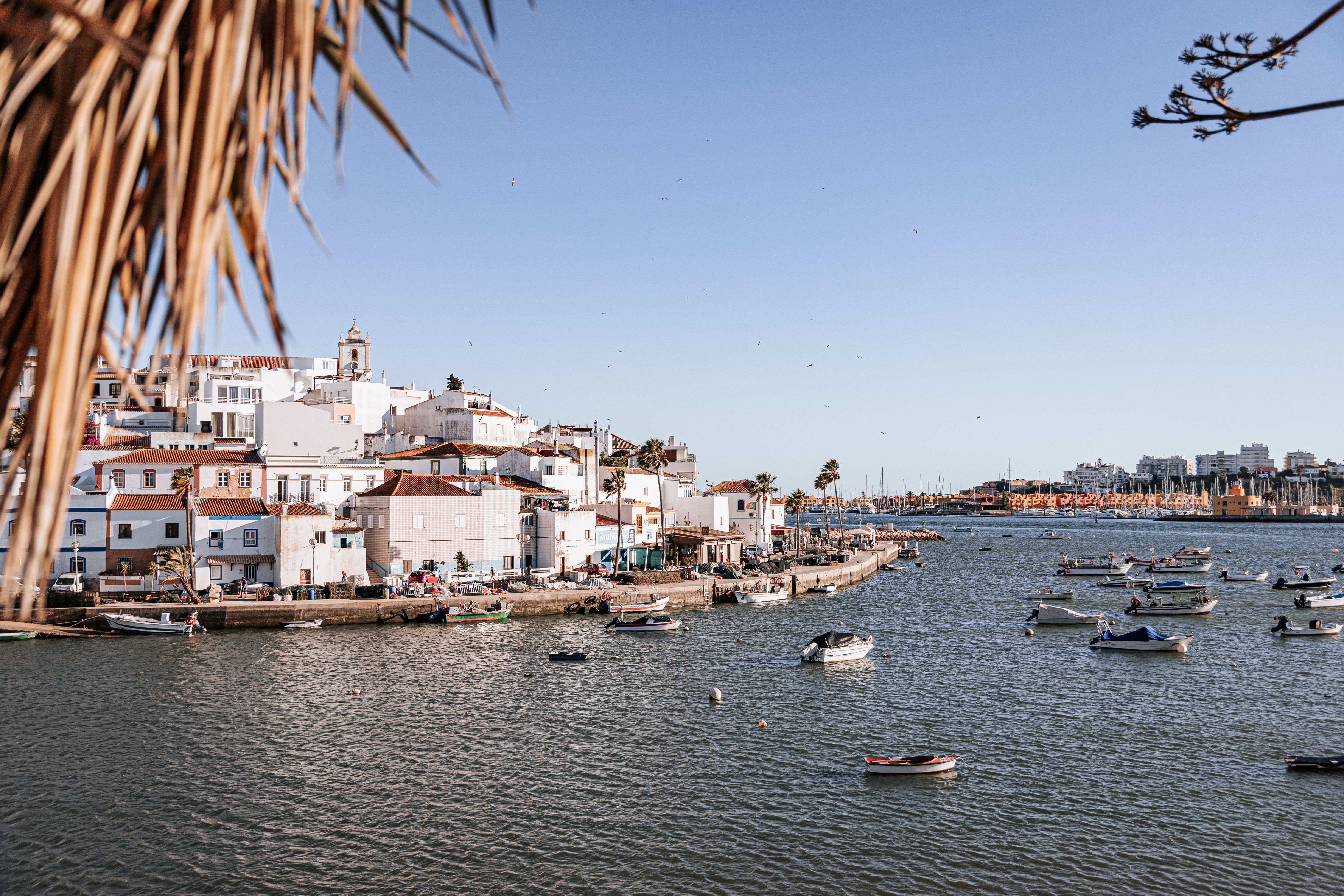Vissersbootjes in een Algarve-haven